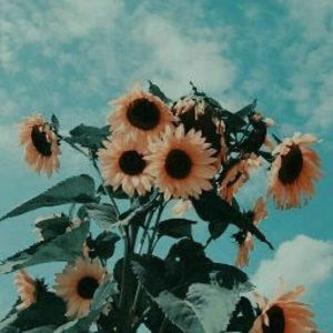 Meet your Posher, Lesly